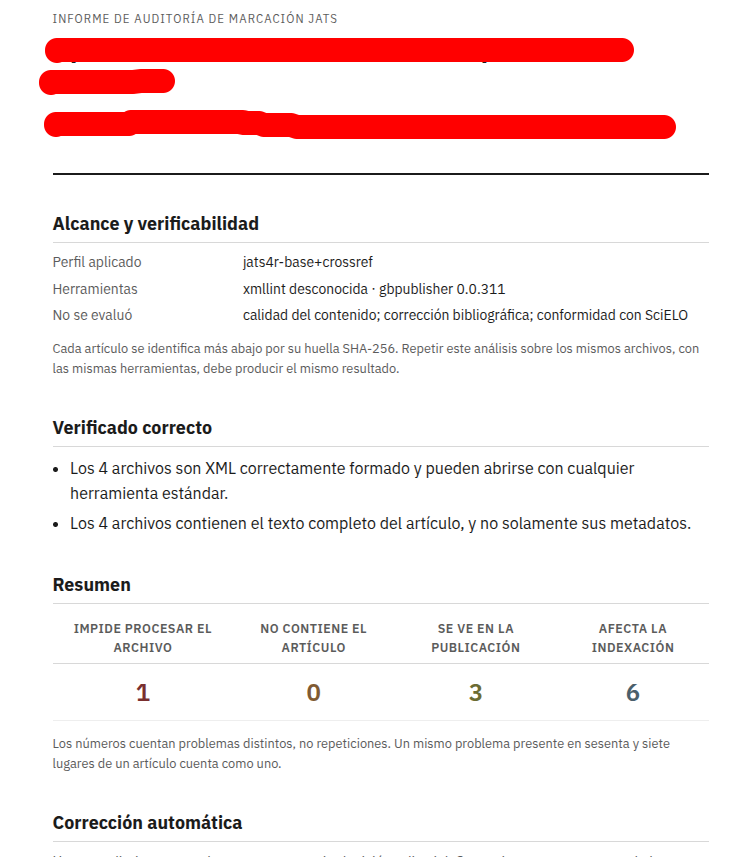 Informe del auditor mostrando resultados